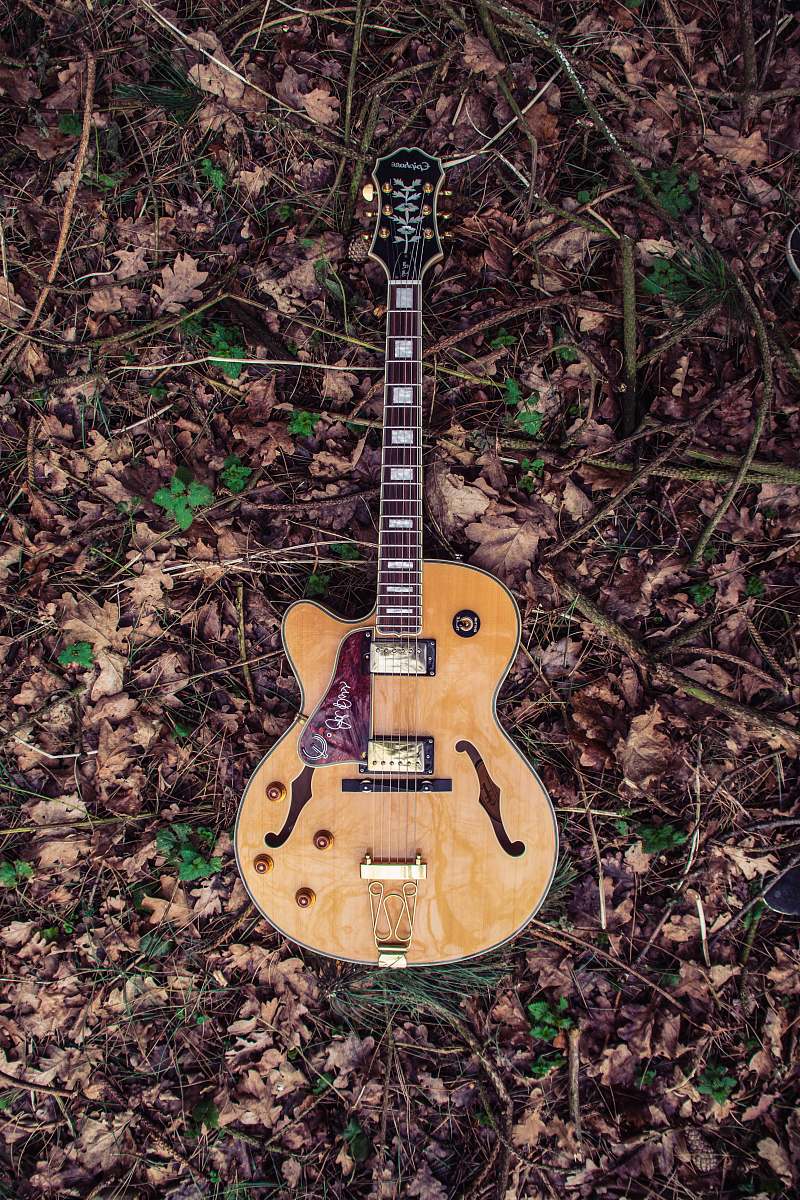 electric guitar brown and red Epiphone acoustic guitar guitar